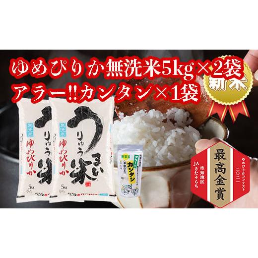 ふるさと納税 北海道 雨竜町 うりゅう米ゆめぴりか　無洗米5kg×2袋・アラー!!カンタン　1個