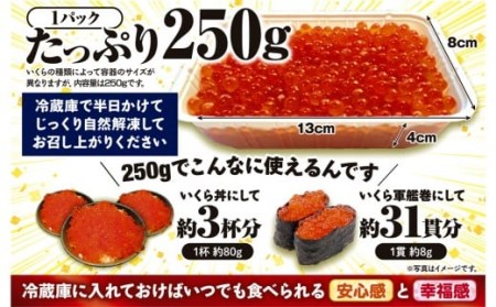 ※2023年10月以降順次お届け※シラリカいくら〔お好みに味付けができます〕_K021-0919