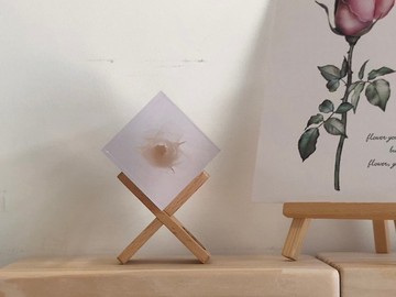 【純淨植磚－水母玫瑰】植感手作藝術品/居家品味擺飾