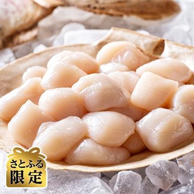 ふるさと納税 森町 刺身用新鮮小粒帆立貝柱(約2.0kg)