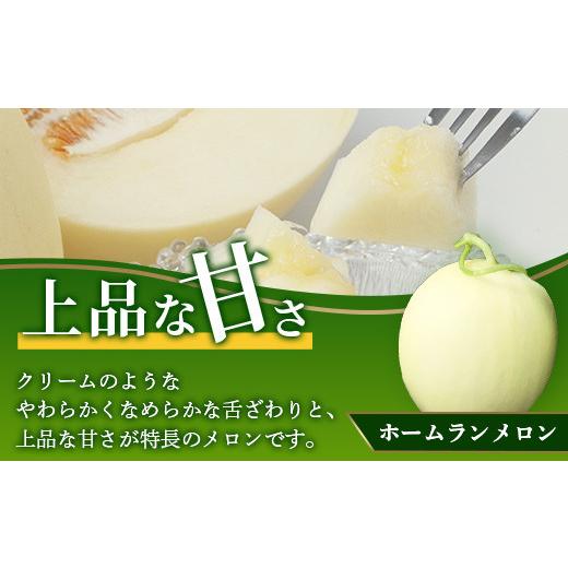 ふるさと納税 熊本県 多良木町 熊本県産 ホームランメロン 2玉 約3kg 【 令和6年 ご予約 メロン フルーツ 果物 熊本 多…