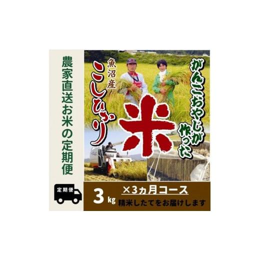 ふるさと納税 新潟県 南魚沼市 令和５年産新米がんこおやじが作った南魚沼産コシヒカリ白米３kg