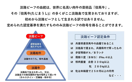 ほんまもん淡路島 淡路ビーフ（ロースステーキ200g×3枚）