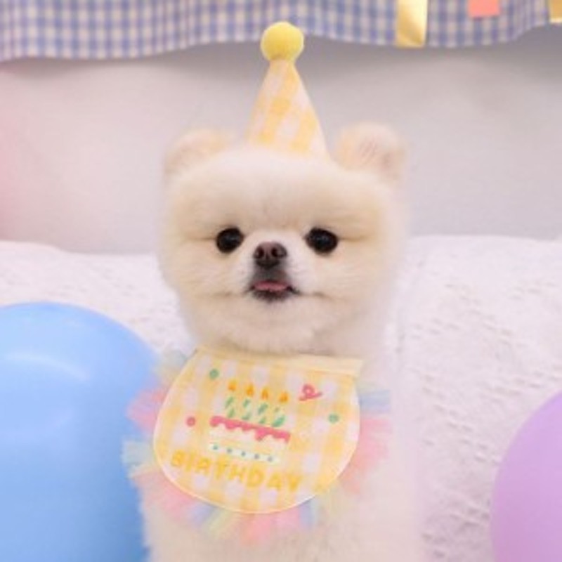 犬用スタイ 誕生日 犬 猫 帽子 ハッピーバースデー よだれかけ わんこ お祝い 写真 撮影 コスプレ 洋服 可愛い ペットグッズ 小型犬 スタ 通販 Lineポイント最大4 0 Get Lineショッピング