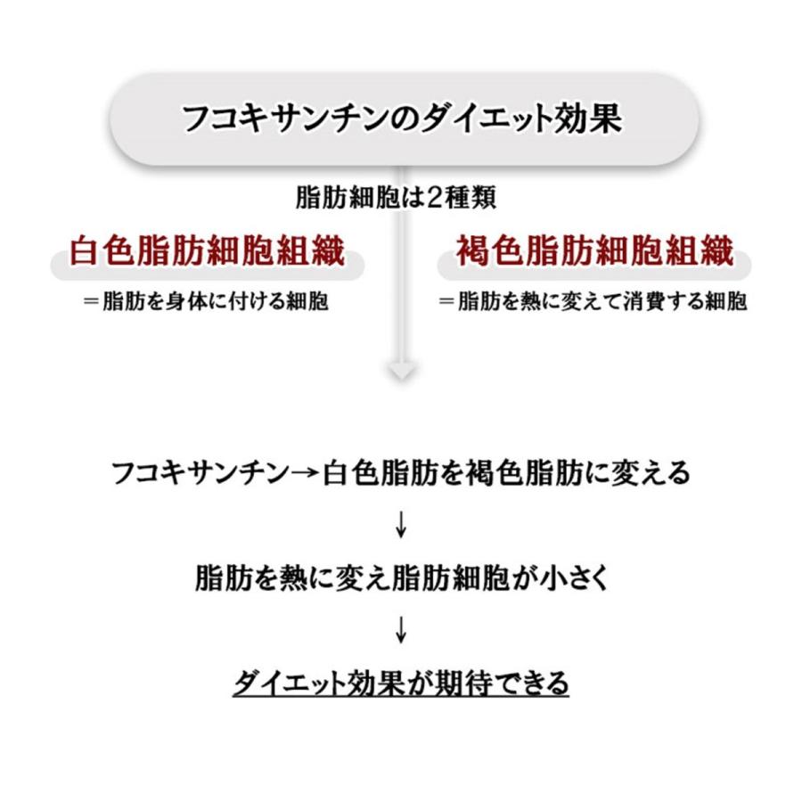 熊本県天草産　海藻あかもく　海納豆　5袋入　小分けパック　ダイエット　腸活　食物繊維