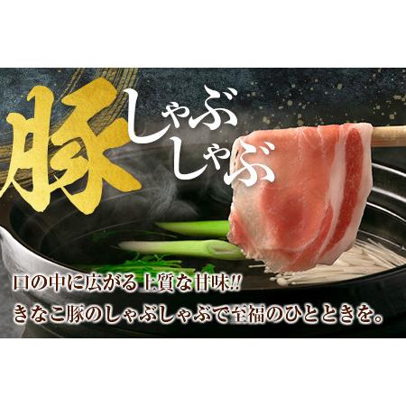 ふるさと納税 ≪きなこ豚≫ローススライス(しゃぶしゃぶ用)計960g　肉　豚　豚肉　国産　宮崎県産 BB121-23 宮崎県日南市