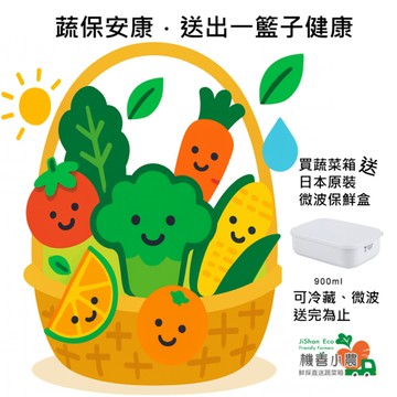 【機善小農_蔬菜箱】蔬保安康．送出一籃子健康． 送給父母最好的禮物．南投縣_經濟箱9件