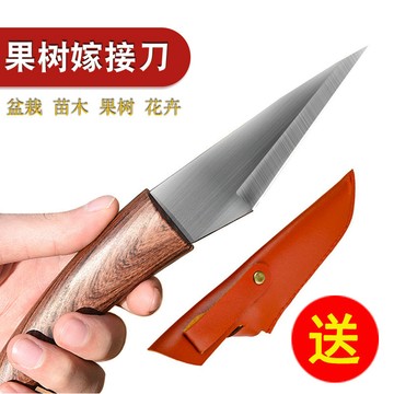🔥臺灣出貨🔥芽接刀 嫁接刀 藝園林果樹嫁接專用工具 嫁接膜多功能小刀神器特種鋼專業款 園林器具 盆栽 苗木 果樹枝種植