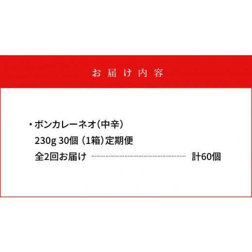 ふるさと納税 徳島県 徳島市 ボンカレーネオ（中辛）30個×2回　計60個