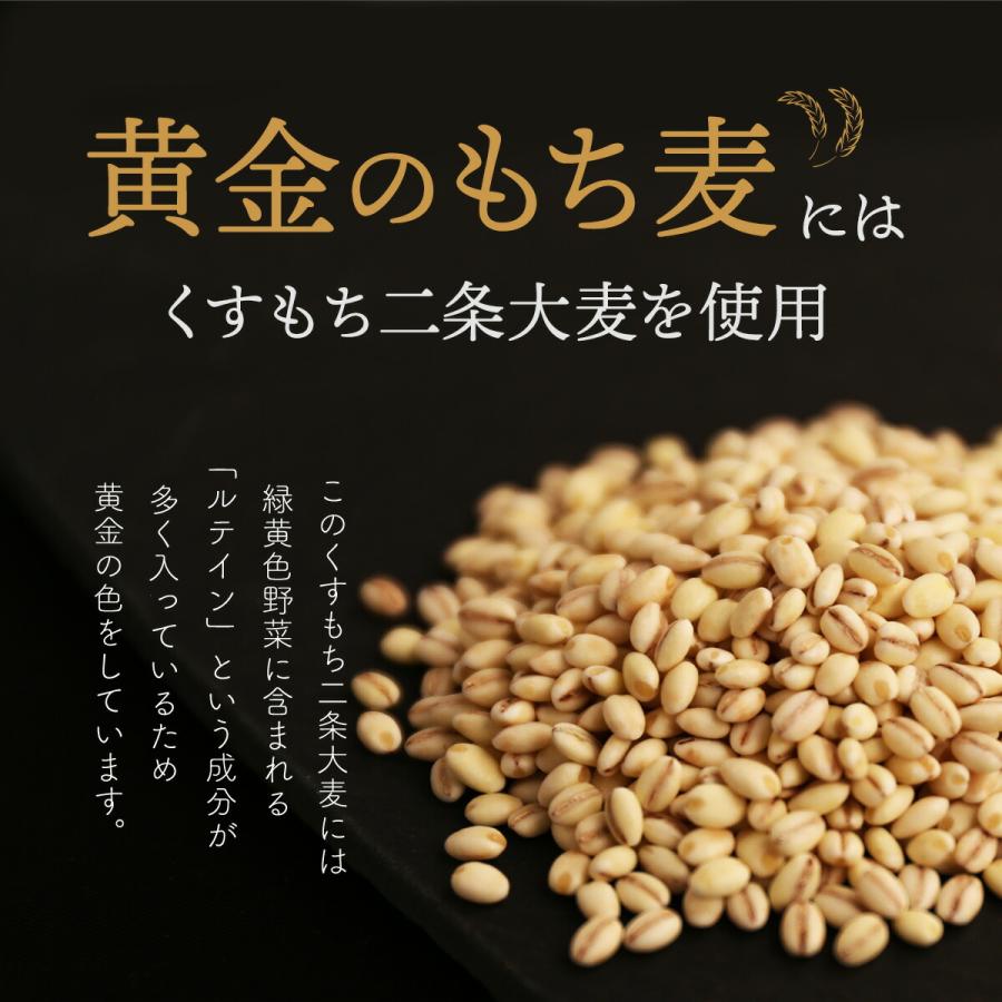 黄金のもち麦 1kg (500g×2個)もち麦ごはん もち麦 国産 九州産 機能性表示食品