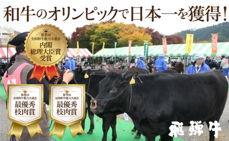 訳あり 飛騨牛ブロック [塊] 計600g 霜降り肉 赤身肉 ブロック肉 300g×2 食べ比べ 部位お任せ 不揃い BBQ 焼肉 焼き肉 ローストビーフ 20000円 2万円 [S046]