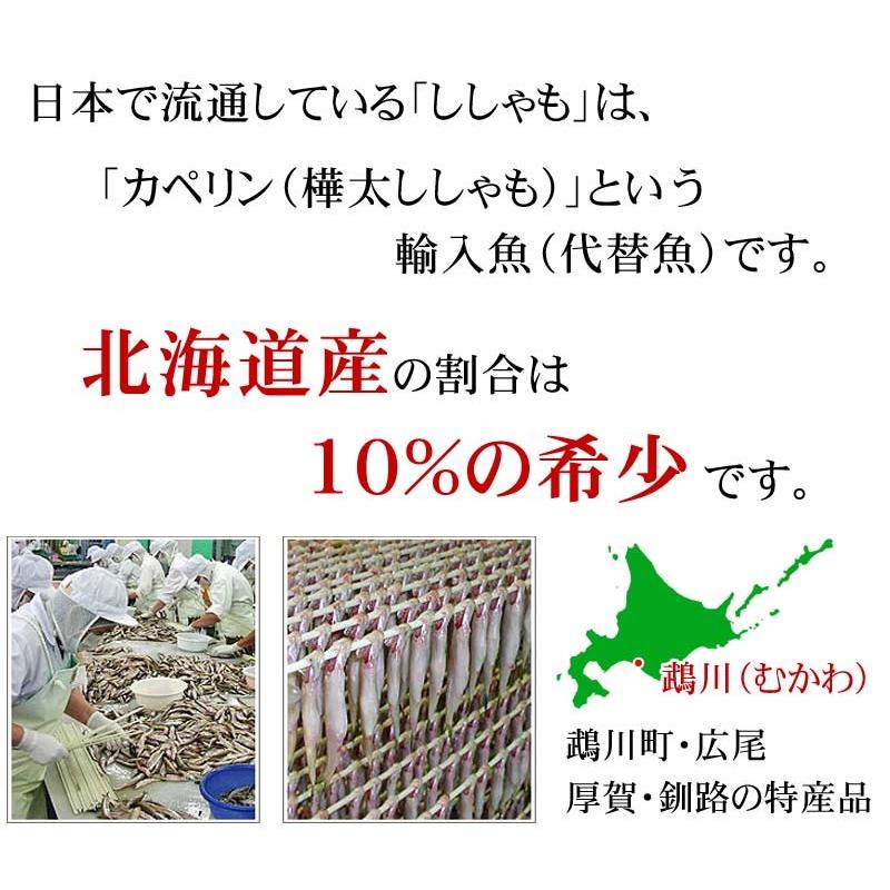 北海道産　本ししゃも　オス　30尾入り(雄　中サイズ)天日で干した北海道産 本シシャモ。干物柳葉魚、干し魚お取り寄せ(ギフト)