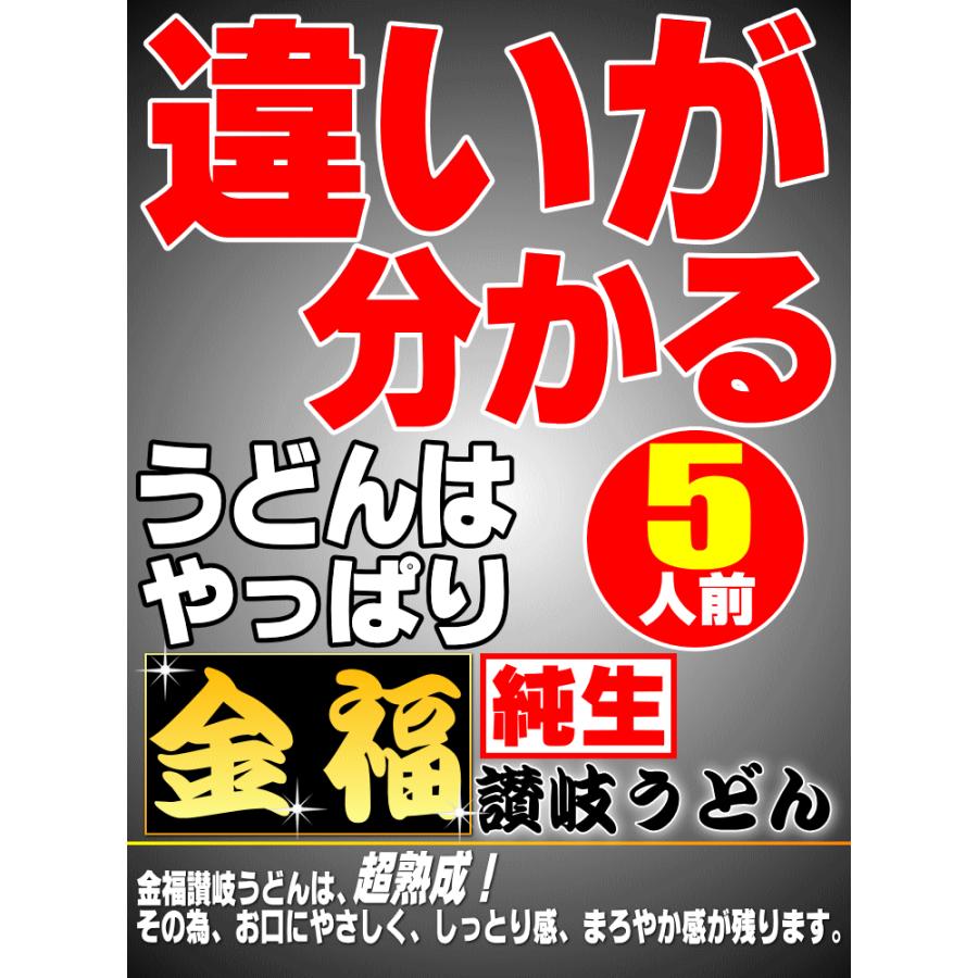 送料無料 うどん 金福純生 讃岐うどん ！1人前食べ切り個包装タイプ！5食セット ネコポス お試し 讃岐 送料無 激安 生麺 生うどん