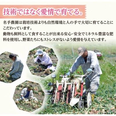 ふるさと納税 淡路市 名手農園の淡路島特産農園セット