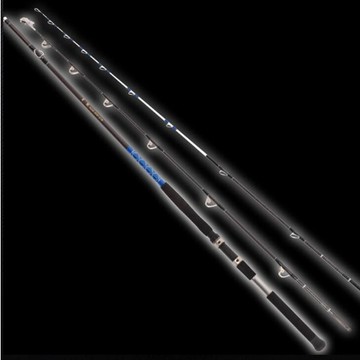 【世界釣具】免運🔥寸真 真霸 BOAT-ROD 雙尾釣竿 海竿 路亞竿 船竿 魚竿 釣魚竿 海釣 船釣