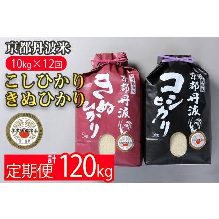 ふるさと納税 訳あり 定期便 新米 10kg （こしひかり 5kg ・ きぬひかり 5kg） ×12ヶ月 京都丹波米 白米 12回定期便 コシヒカリ・キヌ.. 京都府亀岡市