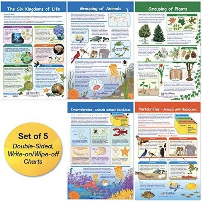 THE SIX KINGDOMS SET OF 5