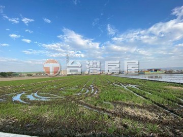 台中市龍井地形方正都計內美農地｜台中市龍井區中山段