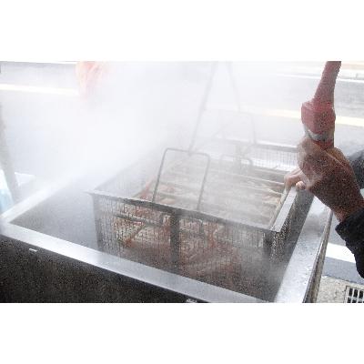 ふるさと納税 小浜市 「若狭小浜港産地直送」　越前ガニ(ズワイガニ)ボイル1杯