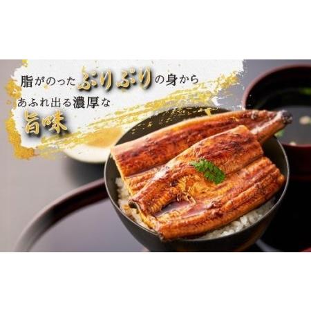 ふるさと納税 おおさきうなぎ鹿児島県産うなぎ長蒲焼4尾（全3回）合計12尾 鹿児島県大崎町