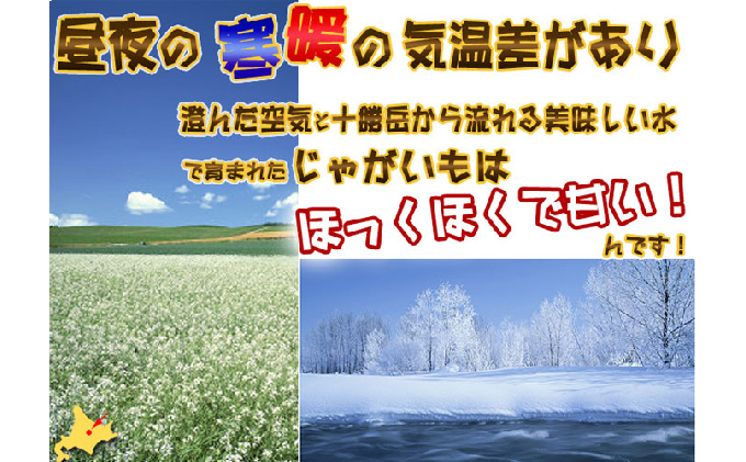 北海道 富良野産 じゃがいも(男爵)＆玉ねぎ セット10kg (スイートベジタブルファクトリー)