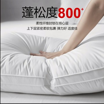 枕芯一對家用枕頭男夏季涼枕宿舍單只整頭枕護頸椎枕助睡眠不塌陷