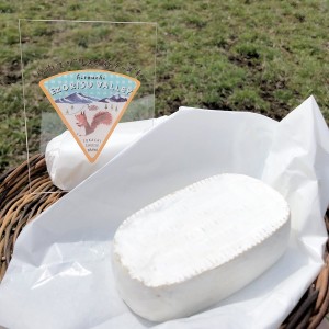エゾリスチーズ コバン 4個 北海道 チーズ 白カビ 広内エゾリスの谷チーズ社