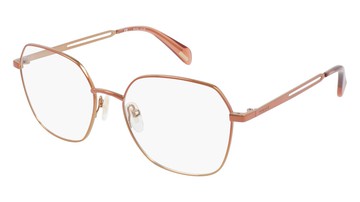 Police Eyeglasses