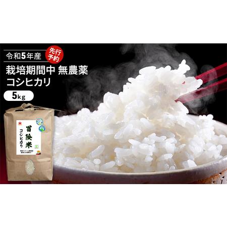 ふるさと納税 令和5年産 栽培期間中無農薬コシヒカリ 5kg 玄米 福井県若狭町