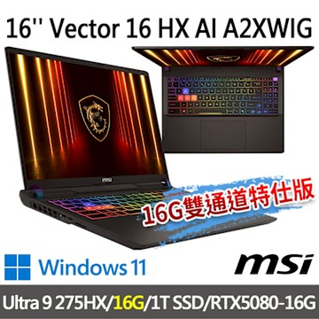 msi微星 Vector 16 HX AI A2XWIG-014TW 16吋 電競筆電 (Ultra 9 275HX/16G/1T SSD/RTX5080-16G/Win11-16G雙通道特仕版)