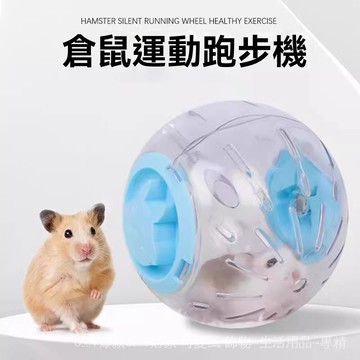 倉鼠用品 倉鼠玩具 小寵玩具 倉鼠跑輪 倉鼠跑球 靜音跑輪 倉鼠跑球跑輪滾輪靜音運動球支架金絲熊鬆鼠用品跑步球滾球戶外球