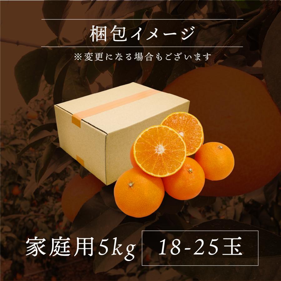 みかん 愛媛まどんな 家庭用 5kg 送料無料 愛媛県産 産地直送 ミカン 高級柑橘 ギフト プレゼント 2023 お歳暮 歳暮2023 グルメ