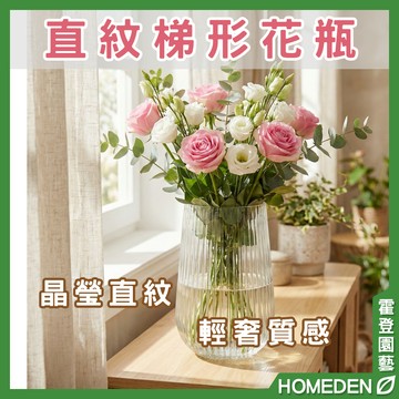 【隔日到貨】直紋梯形花瓶 玻璃花瓶 北歐風 簡約 花器 插花 水培 乾燥花 永生花  園藝用品【HOMEDEN霍登園藝】