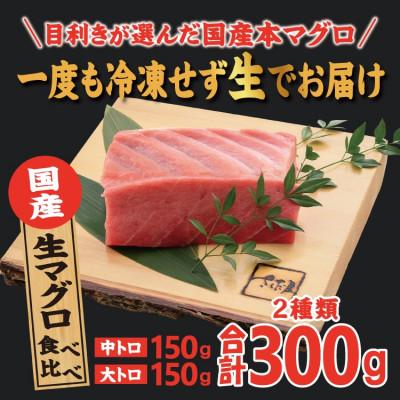 ふるさと納税 越前町 国産生本マグロ 大トロと中トロ 2種セット 合計300g