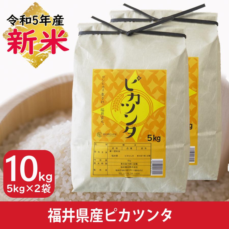 新米 米 10kg 5kg×2袋 ピカツンタ 福井県産 白米 令和5年産 送料無料