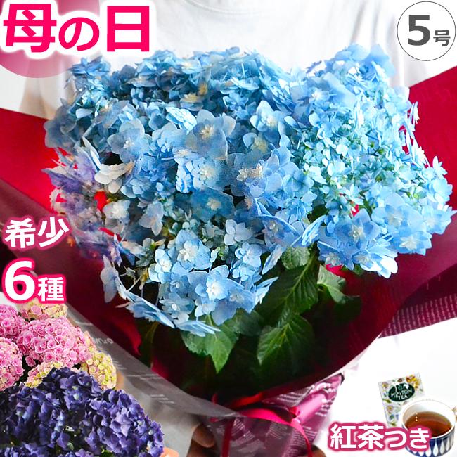 希少　ジアン　LILAS　平皿　フランスアンティーク　紫陽花　あじさい 希少ジアンLILAS平皿フランスアンティーク紫陽花あじさい