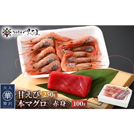 ふるさと納税 お刺身 セット 甘海老 250g × 2P ＆ 本まぐろ 赤身 100g × 1P  [.. 福井県越前町