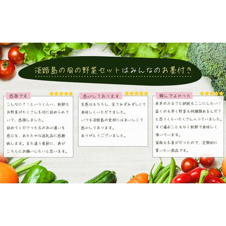 ふるさと納税 淡路島の旬の野菜セット 兵庫県淡路市