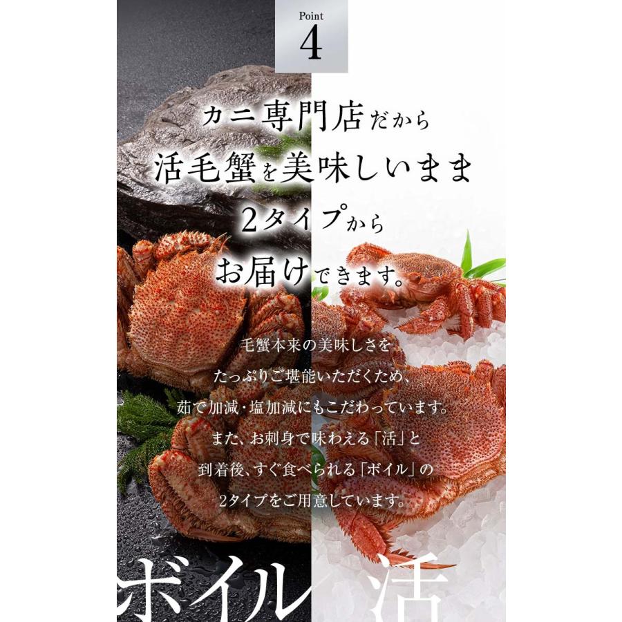 北海道産 活毛がに　500ｇ  中型　毛ガニの美味しさを味わうなら、未冷凍の活け毛蟹。カニ味噌 かに通販 カニお取り寄せ