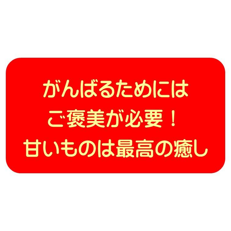 冷凍食品 鹿児島県産 紅はるか 焼き芋 500g 熟成貯蔵 遠赤外線室 じっくり焼き上げ さつまいも やきいも 蜜 冷凍焼き芋 ご褒美