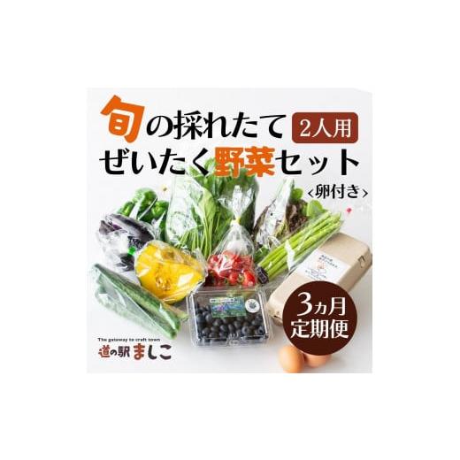 ふるさと納税 栃木県 益子町 AA002＜3か月定期便＞旬の採れたてぜいたく野菜セット（卵付き）2人用