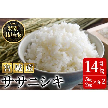 ふるさと納税 ＜令和5年産新米＞特別栽培米 ササニシキ 14kg ta222 宮城県大和町