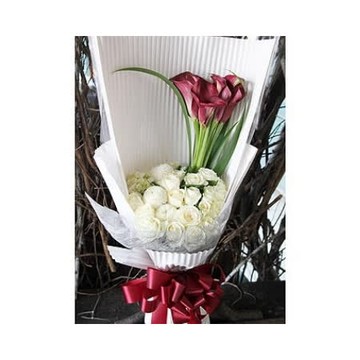 21 海芋花束推薦 十二月優惠比價 Line購物