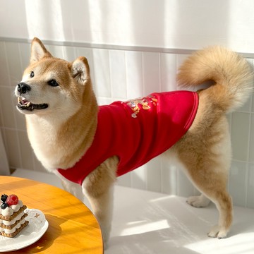 毛小孩開運衣-發財暴富