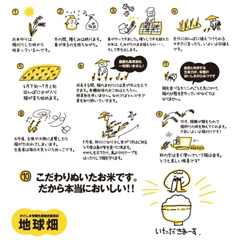 新米 有機白米 2kg ひとり暮らしに 令和5年産 鹿児島県 宮崎県 熊本県 有機栽培 有機JAS認証 化学肥料・農薬不使用 無農薬 お試し 受注精米 2023年産