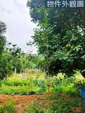 北新庄完美平整休閒農地｜新北市三芝區大屯段