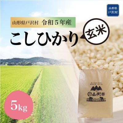 ふるさと納税 戸沢村  コシヒカリ  5kg(5kg×1袋) 山形県 戸沢村