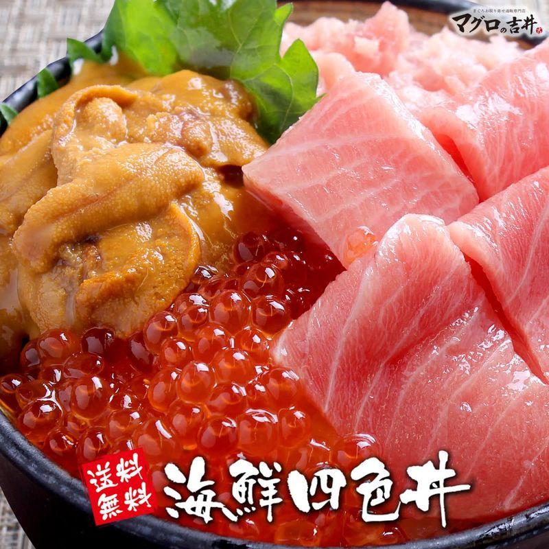 海鮮 ギフト グルメ セット 人気 食べ物 贈答用 ランキング 海鮮丼 海鮮 福袋 魚 鮪 まぐろ 本鮪大トロ 無添加うに 醤油漬けいくら