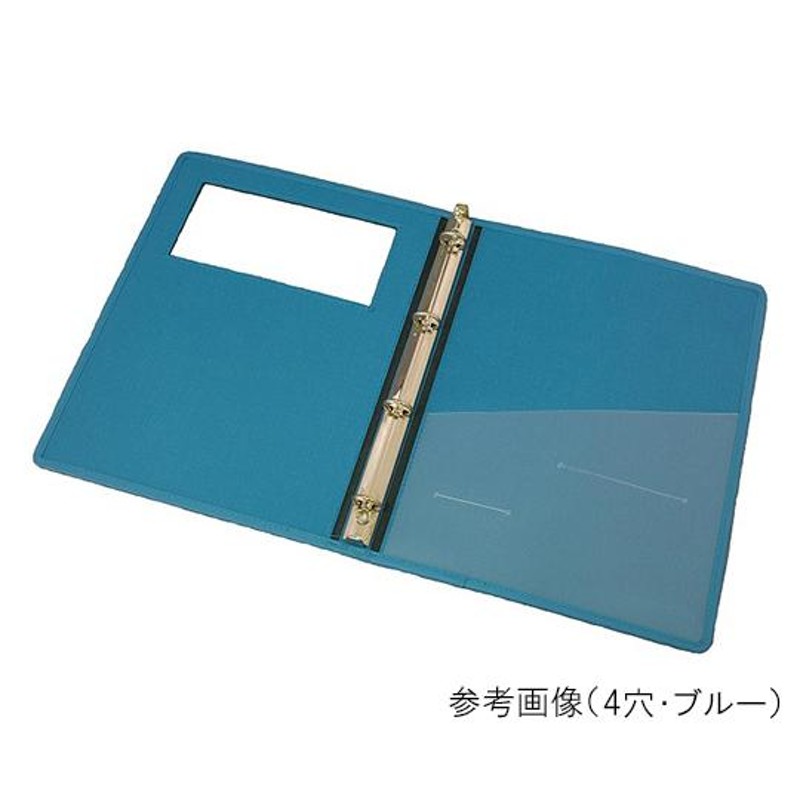 サンリーフ カルテブック ウィンドウタイプ A4 30穴 グレー 10冊入 SKW