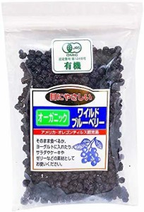 丸成商事 有機ワイルドブルーベリー 100g